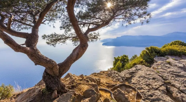 T2 40m2 + jardin à 10min à pied des plages