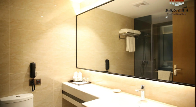 Двухместный номер Deluxe New Pearl River Hotel