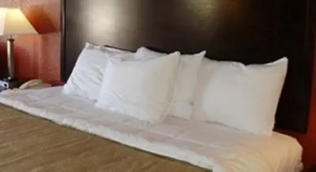 Quality Inn & Suites Thibodaux, Boek Hotel Hotels in Missouri met zwembad, Zwembad