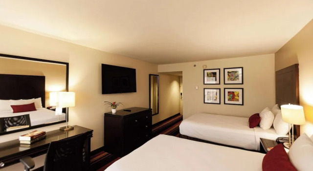 Номер Standard Wyndham New Orleans Airport & Conference Center