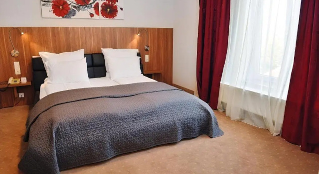 Suite Hotel President