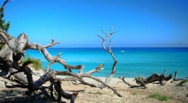 Sognu di Mare - Plage et piscine sur place, Varaa Hotelli Linguizzetta 