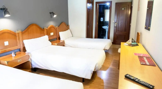 Трёхместный номер Standard Alda Palencia Plaza