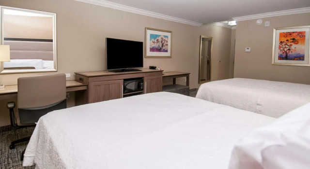 Четырёхместный номер Standard Hampton Inn & Suites Ridgeland