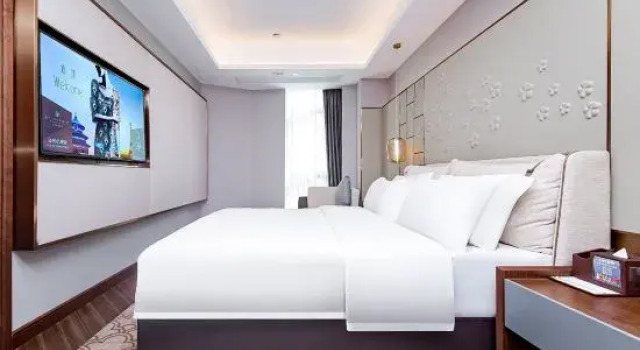 Двухместный люкс Yueyang Tower District East Railway Station Jinjiang Metropolo Hotel