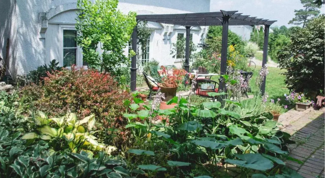 Люкс Deluxe Orchard House Bed and Breakfast