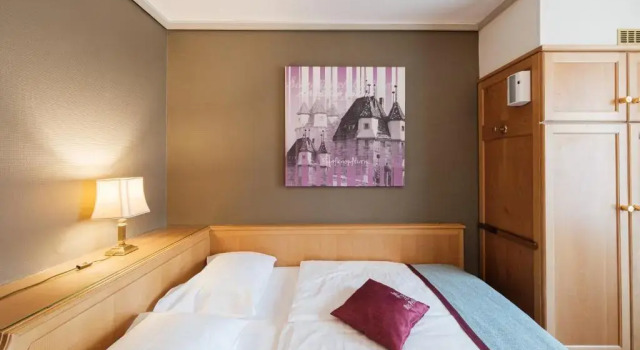 Двухместный номер Standard Hotel Pelikan