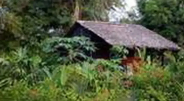 Rio Mar Bahía Solano Choco Colombia