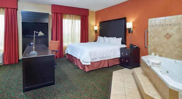 Двухместная студия Hampton Inn & Suites Waco-South