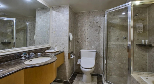 Двухместный номер Standard The Carlton Hotel Hsinchu
