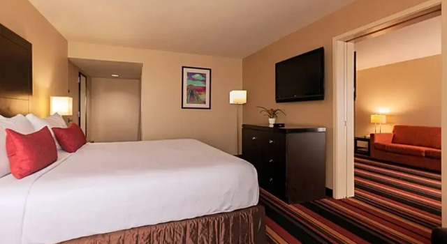 Люкс Wyndham New Orleans Airport & Conference Center
