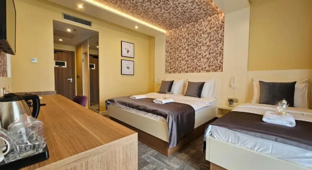 Трёхместный номер Standard Hotel ETNA