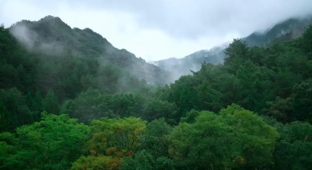 Вилла 古民家宿るうふ 坂之家 Heritage Villa LOOF Sakanoie
