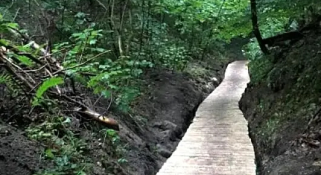 Domek obok Willi w Rozewiu, Забронировать Гостевой дом Гостевые дома Jastrzebia Gora Coast, Гостевой дом