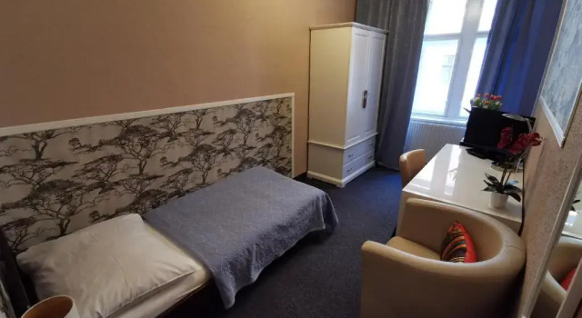 Одноместный номер Classic Hotel Bajazzo
