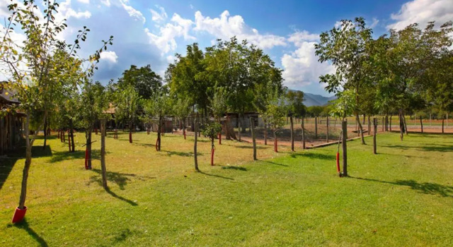 Azienda Agrituristica Pericle