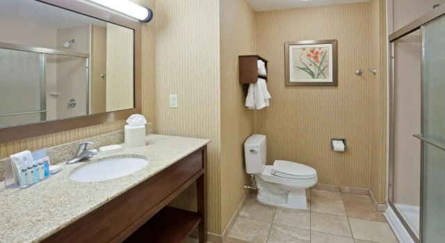 Двухместный номер Standard Hampton Inn Matamoras