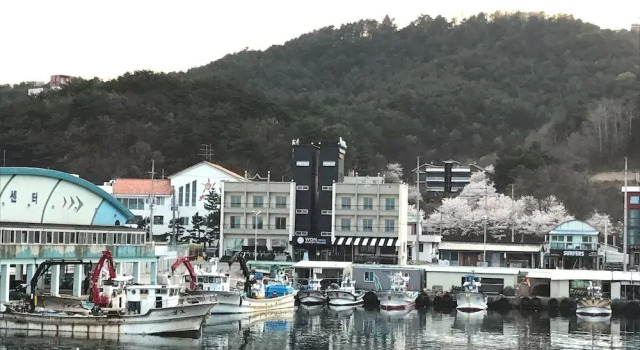 Won Resort Motel, Prenota Motel Hotel 3 stelle a Yangyang, 3*