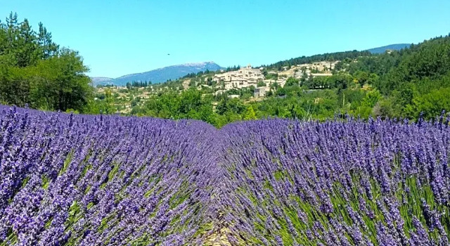 Le Mas des Lavandes, Rezerwuj Hotel Hotele w Mont Ventoux z basenem, Basen