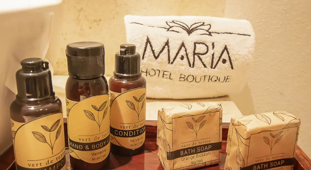 Двухместный люкс Superior Hotel Boutique Maria