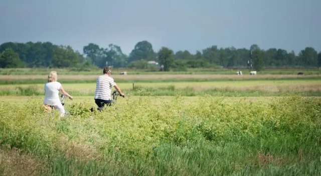 Het Swadde huisje, Buchen Sie Hotel Twijzelerheide Friesland