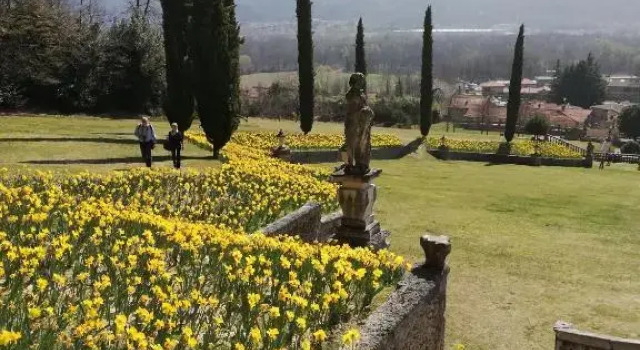 Bellavista