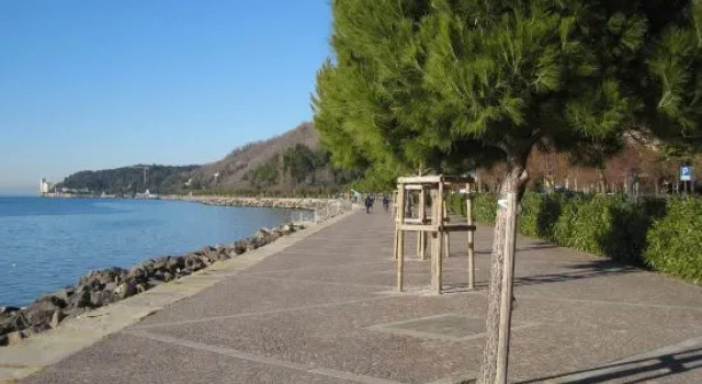 Casa Barcolana