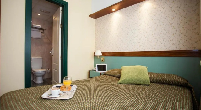 Одноместный номер Standard Hotel Jardín de Aranjuez