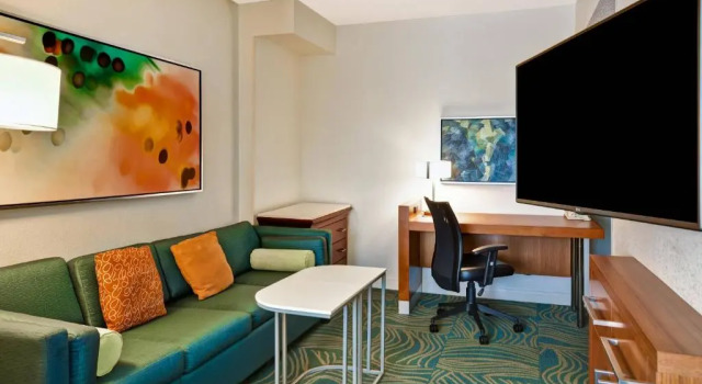 Студия SpringHill Suites by Marriott Baltimore BWI Airport