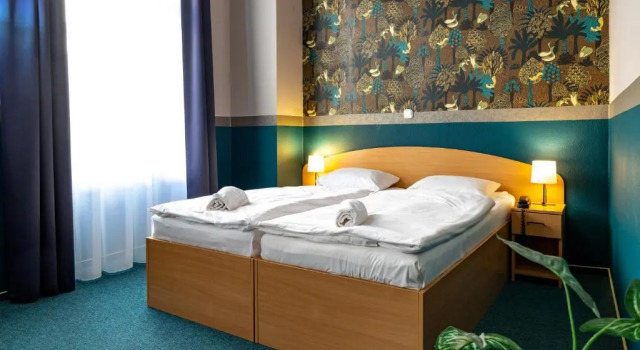 Двухместный номер Standard Gartner Hotel