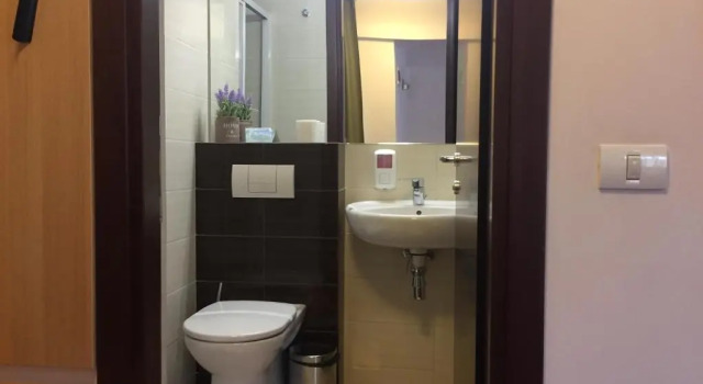 Люкс Hotel Carpați