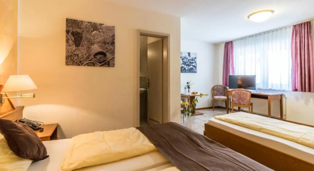 Трёхместный номер Standard Hotel Löwen Garni