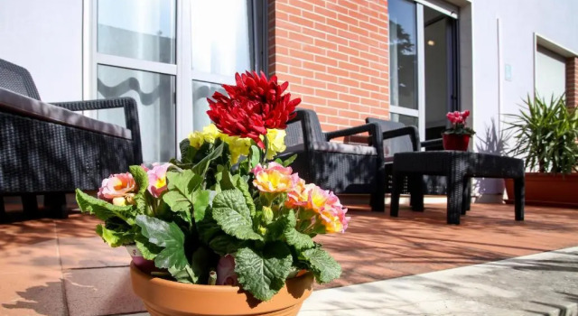 Апартаменты Lavanda Dream Apartment