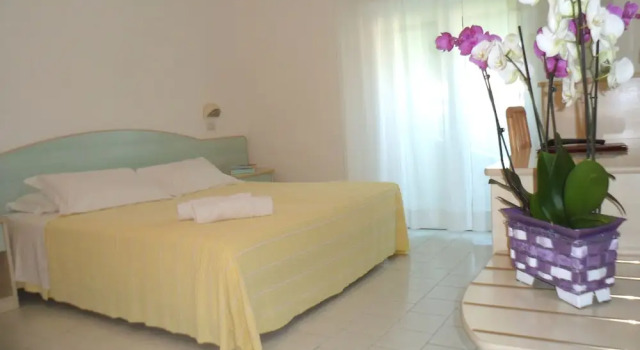 Номер Deluxe Hotel New Zanarini