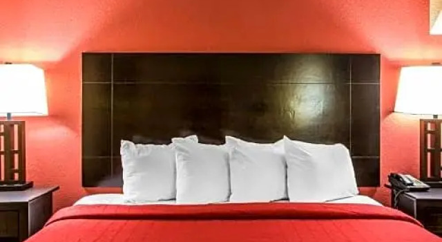 Номер Standard Quality Inn & Suites Griffin