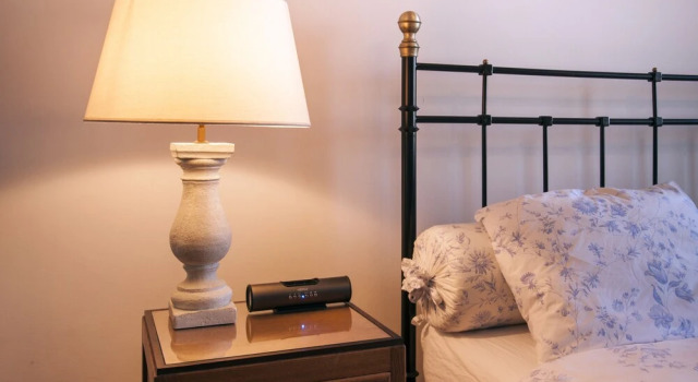 Семейный люкс B&B De Schiedamse Suites