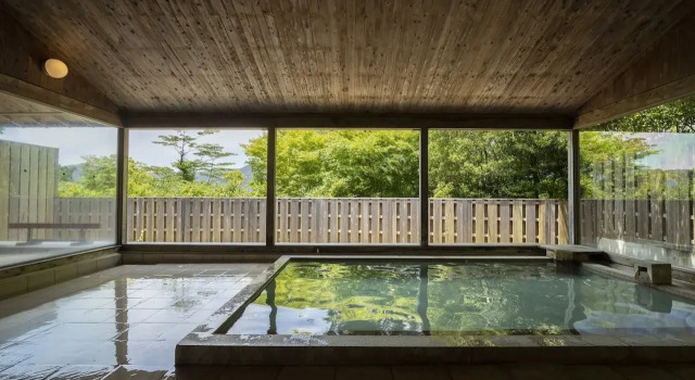 Hakone Retreat Villa 1/f - Adults Only