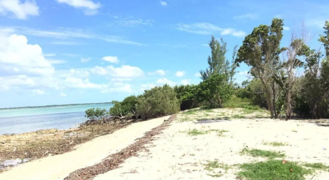Вилла Standard с красивым видом из окна Mangrove Cay Sea View Villas