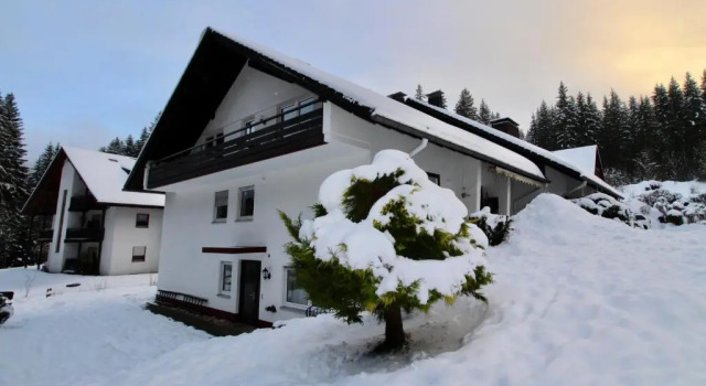 Апартаменты Superior Ferienhaus Frei 1 Hinterzarten