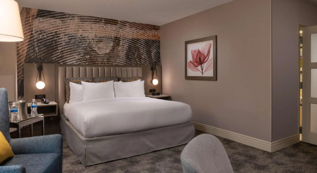 Двухместный номер Standard Hilton Lexington Downtown