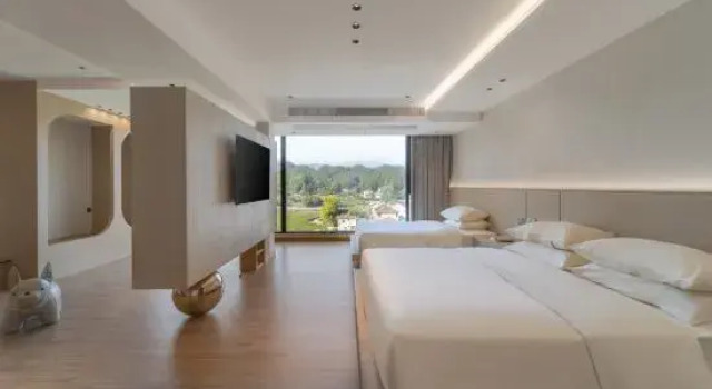 Люкс Qingguo Luxury Villa for Parent-child Vacation in Anji (Longwangshan Gorge Drifting Store)