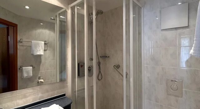 Номер Economy Landhotel Vessens Hoff