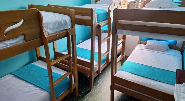 Кровать в общем номере c 1 комнатой с видом на бассейн Palo Verde House