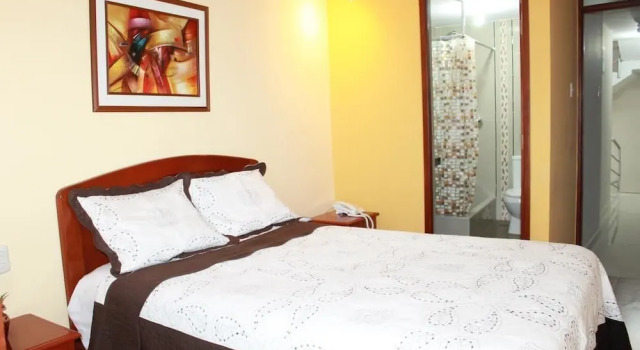 Одноместный номер Standard Hotel Palmas Reales