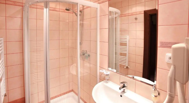 Двухместный номер Economy Wellness Hotel Zlatá Hvězda