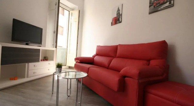 Апартаменты Apartamentos Calle Larios