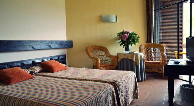 Standard Double room Hotel Baztan