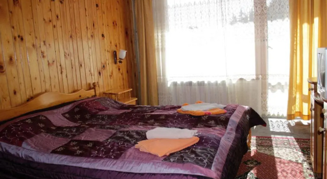 Двухместный номер Standard Hotel Elitza