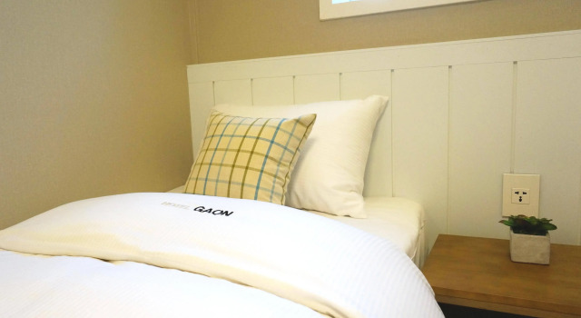 Hotel Gaon Golden Park Dongdaemun