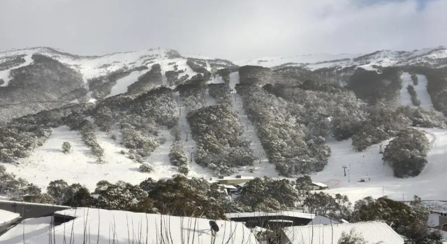 Студия Kasees Apartments & Mountain Lodge